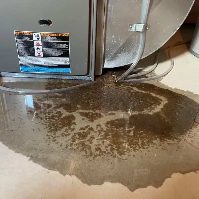 Appliance Leak Cleanup in Indio, CA